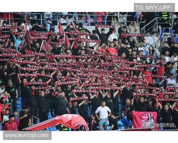 燃情绿茵逐梦未来巨星闪耀2019激情足球荣耀时刻